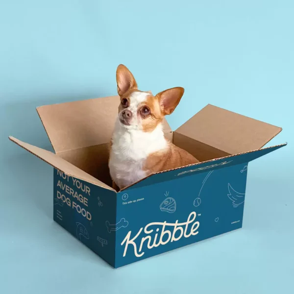 Custom Printed Pet Food Boxes - Image 4