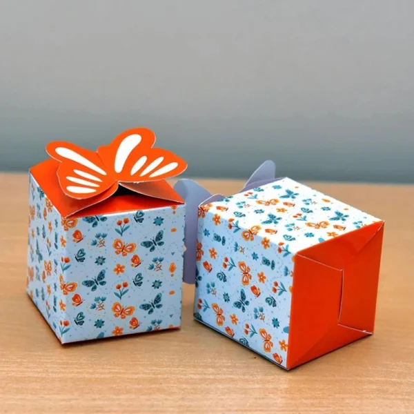 Butterfly Gift Boxes