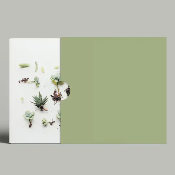 Custom Printed Book Slipcase - Easy Pull Book Slipcase from Custom Boxes for Less