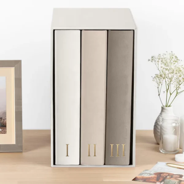 Custom Multi-Book Slipcases